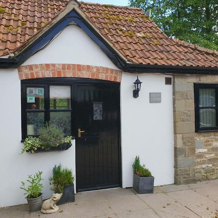 The Miners Cottage Whitecroft Exteriör bild